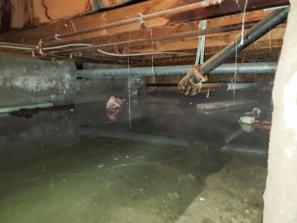 Best Fire Damage Restoration  in Morris Plains, NJ