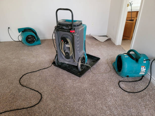 Best Local water damage restoration  in Morris Plains, NJ