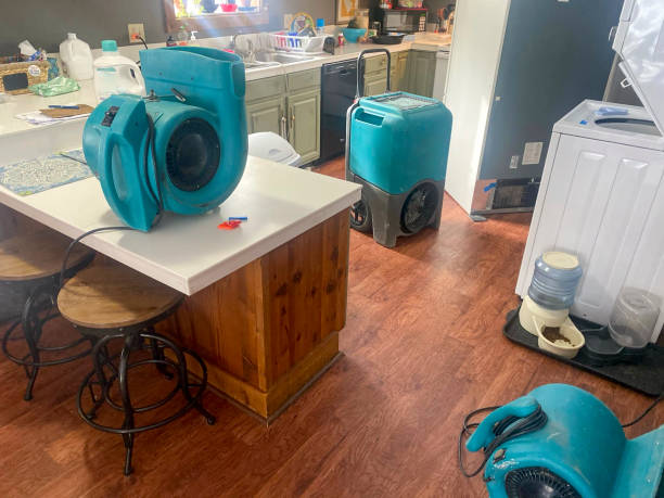 Best Basement water damage restoration  in Morris Plains, NJ