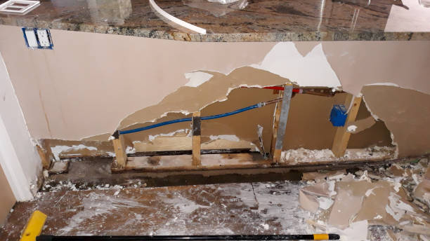 Best Ceiling water damage repair  in Morris Plains, NJ
