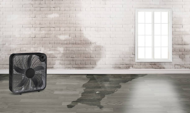 Best Sewage cleanup and water damage restoration  in Morris Plains, NJ