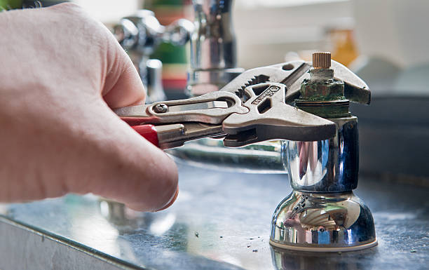 Best Flooded house restoration  in Morris Plains, NJ