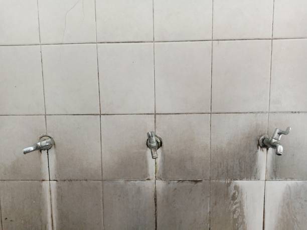 Best Mold removal after water damage  in Morris Plains, NJ