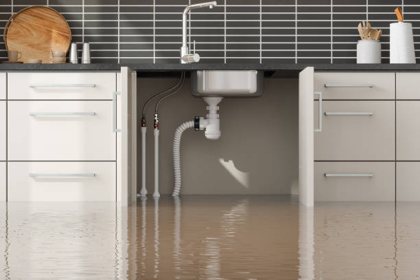 Best Fire Damage Restoration  in Morris Plains, NJ