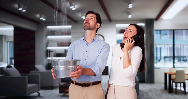 Best Water damage contractors near me  in Morris Plains, NJ